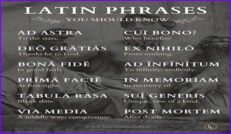 A Profile Of A Latin Beauty